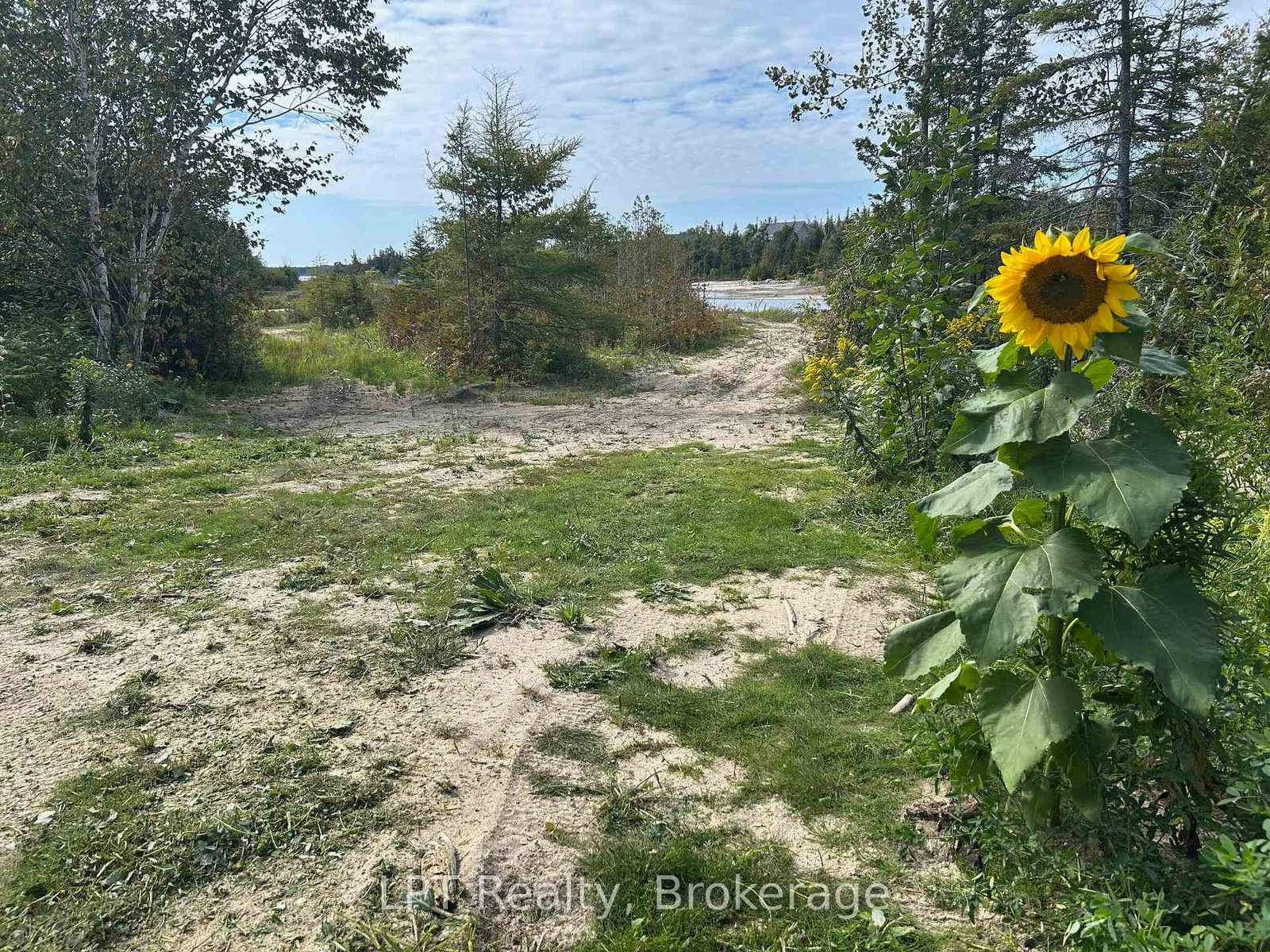 PT LT 36 Walter Charman Drive • Northern Bruce Peninsula, ON photo 24