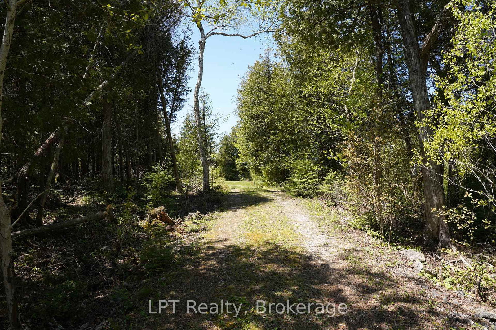PT LT 36 Walter Charman Drive • Northern Bruce Peninsula, ON photo 5