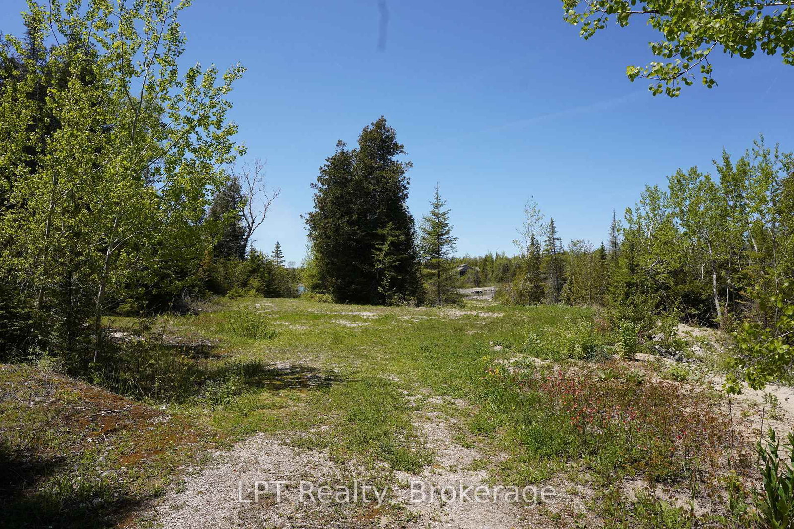 PT LT 36 Walter Charman Drive • Northern Bruce Peninsula, ON photo 8