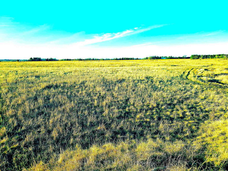 4056 Highway 17 Highway, Kinburn, K0A 2H0 | Image 3