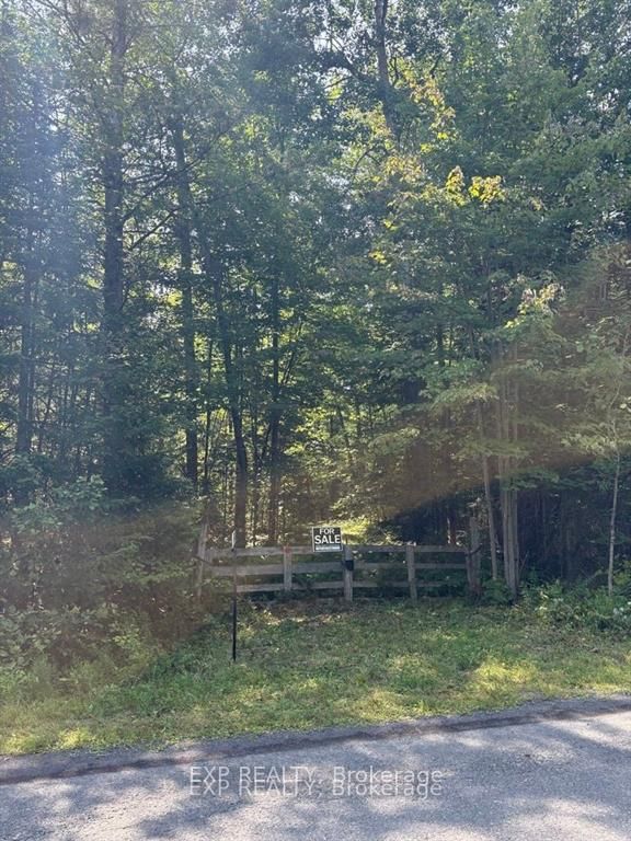 0 Lot 1 Conc. 2 Part 4 Boundary Rd, Alfred and Plantagenet, K0B 1L0 | Image 2