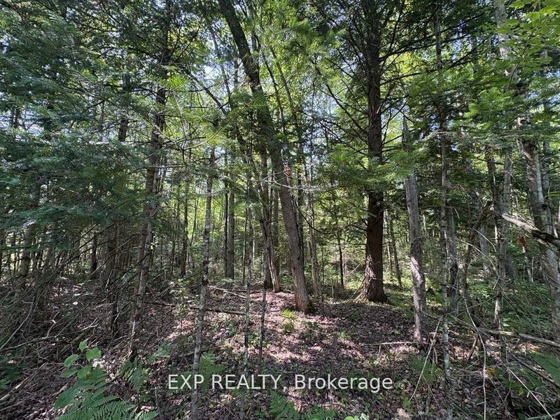 0 Lot 1 Conc. 2 Part 4 Boundary Rd, Alfred and Plantagenet, K0B 1L0 | Image 3