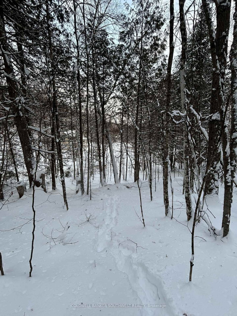 0 Pineridge Rd, Bancroft, K0L 1C0 | Image 3