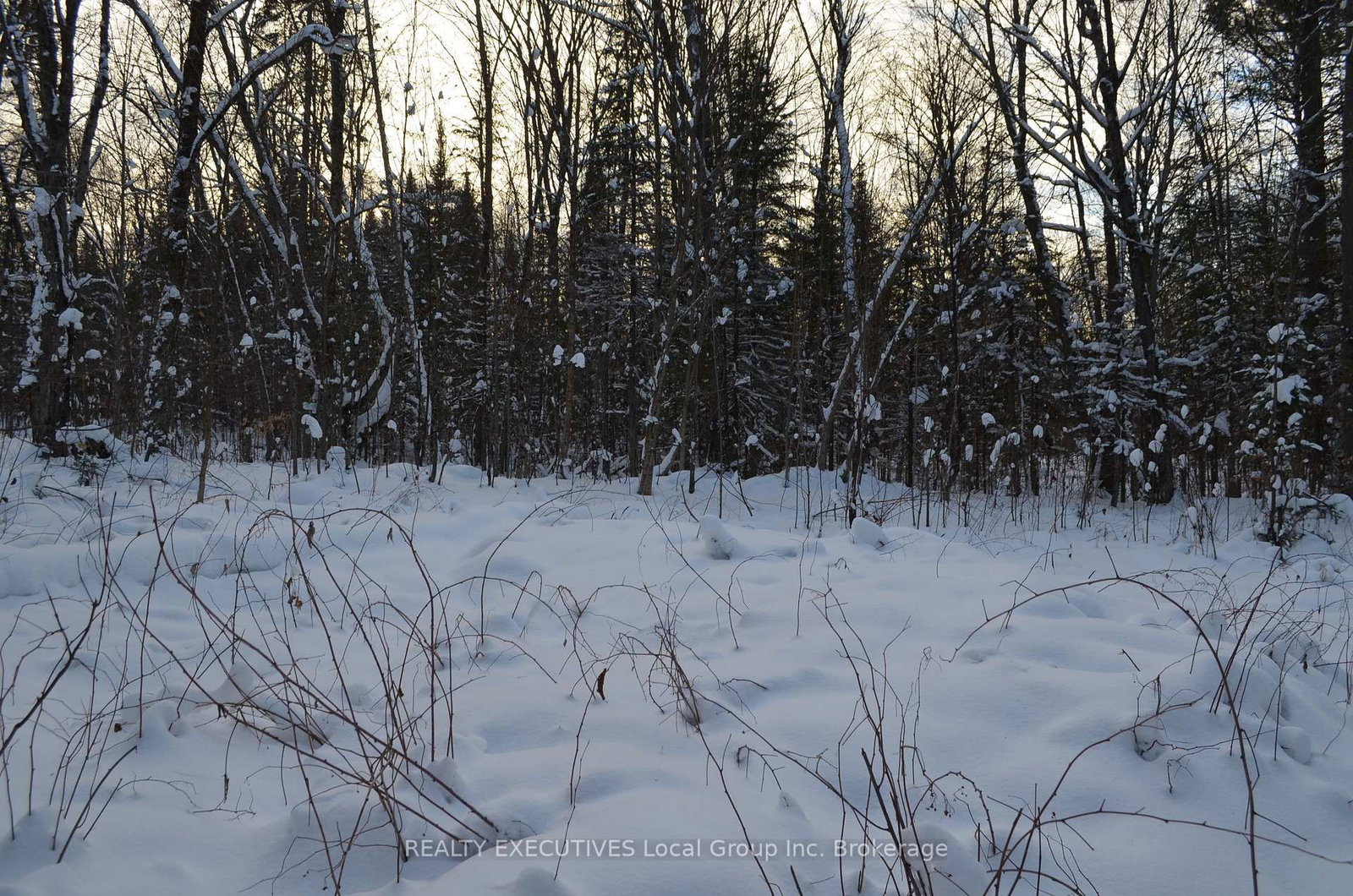 Listing Image 34