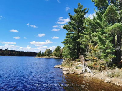 157 Lake Vision Rd | McMurrich/Monteith | Image