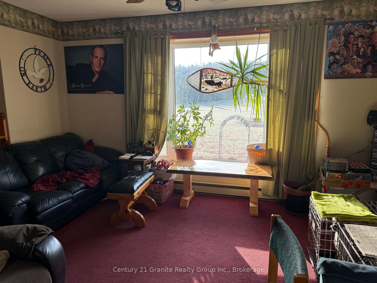 1028 Crabbe Lane • Dysart et al, ON photo 9