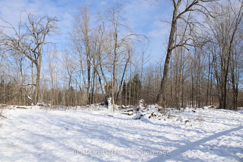 494 Twin Sister Lakes Rd, Limoges, K0K 2M0 | Image 2