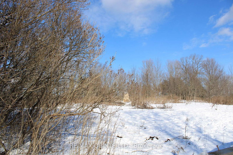 494 Twin Sister Lakes Rd, Limoges, K0K 2M0 | Image 3