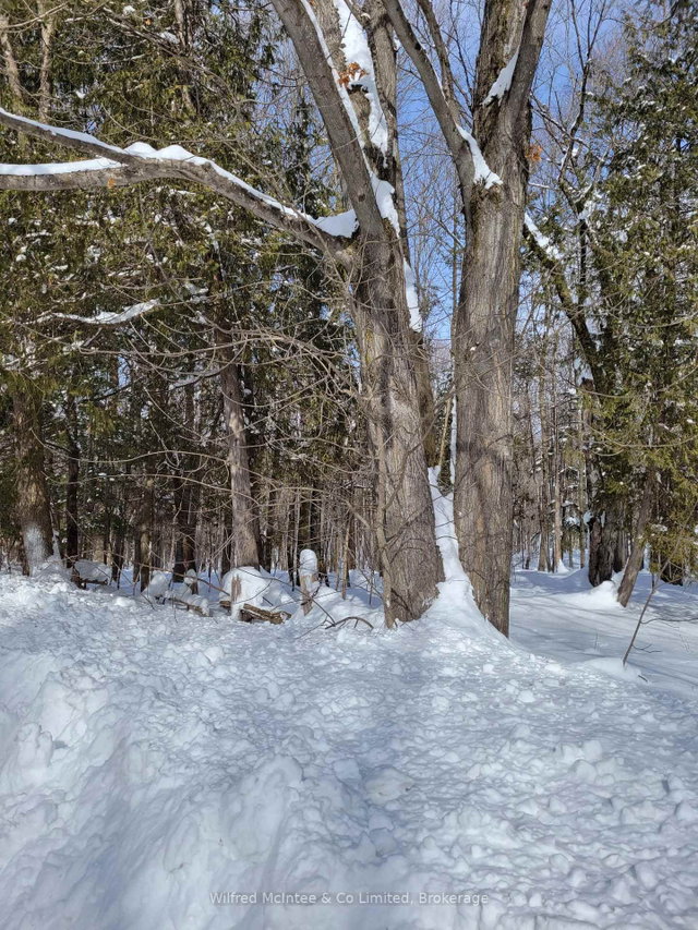 PtLt 26 Mulock Road