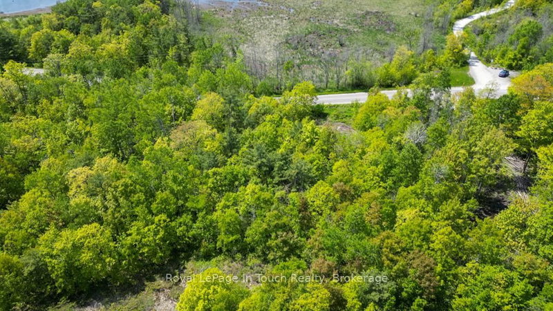 434 South Bay Rd, Georgian Bay, L0K 1S0 | Image 3