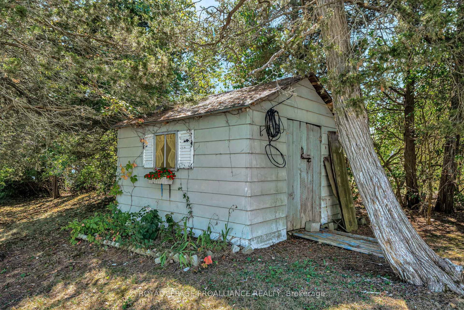 Listing Image 35