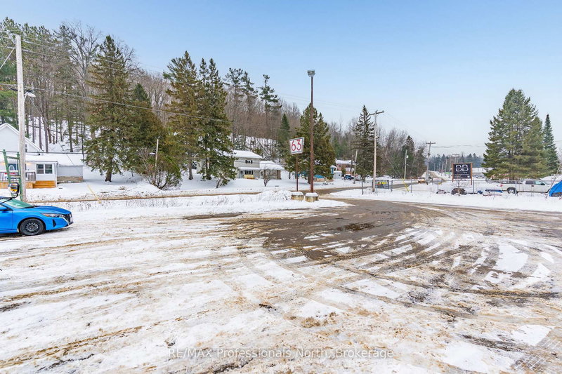 61 BOBCAYGEON Rd, Minden Hills, K0M 2K0 | Image 3