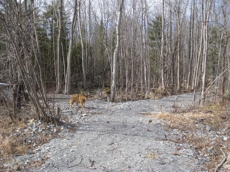 0 Mervin Line, Cavan Monaghan, K9J 6Z9 | Image 3