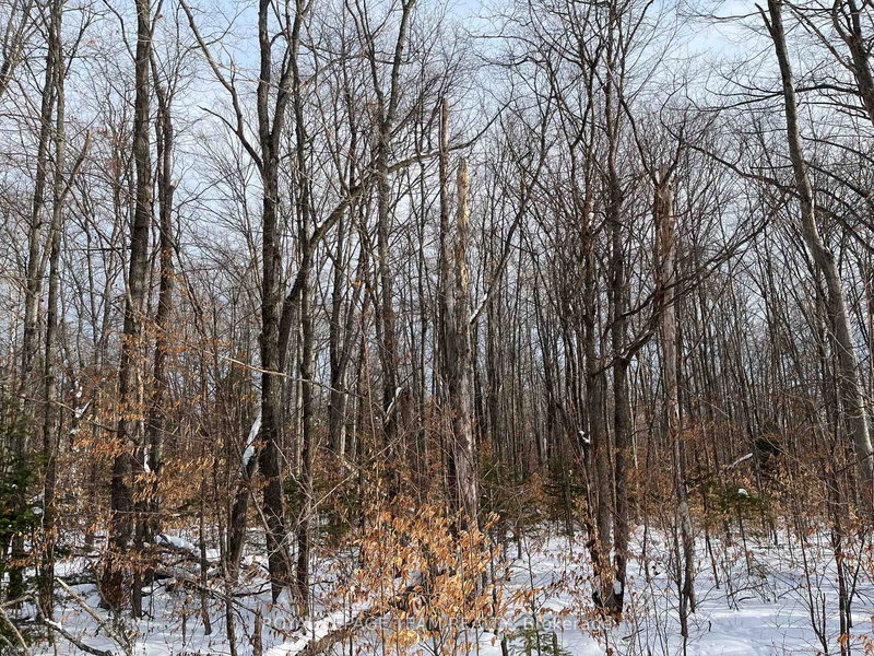 00 Siberia Rd, Barry's Bay, K0J 1B0 | Image 3