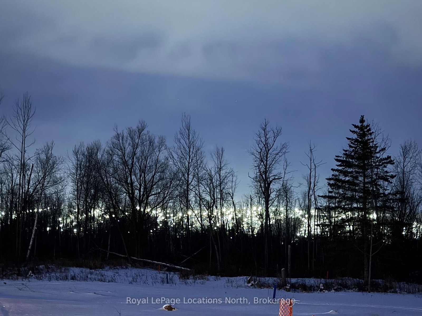 1-372 Grey Road 21 Road - Photo 11