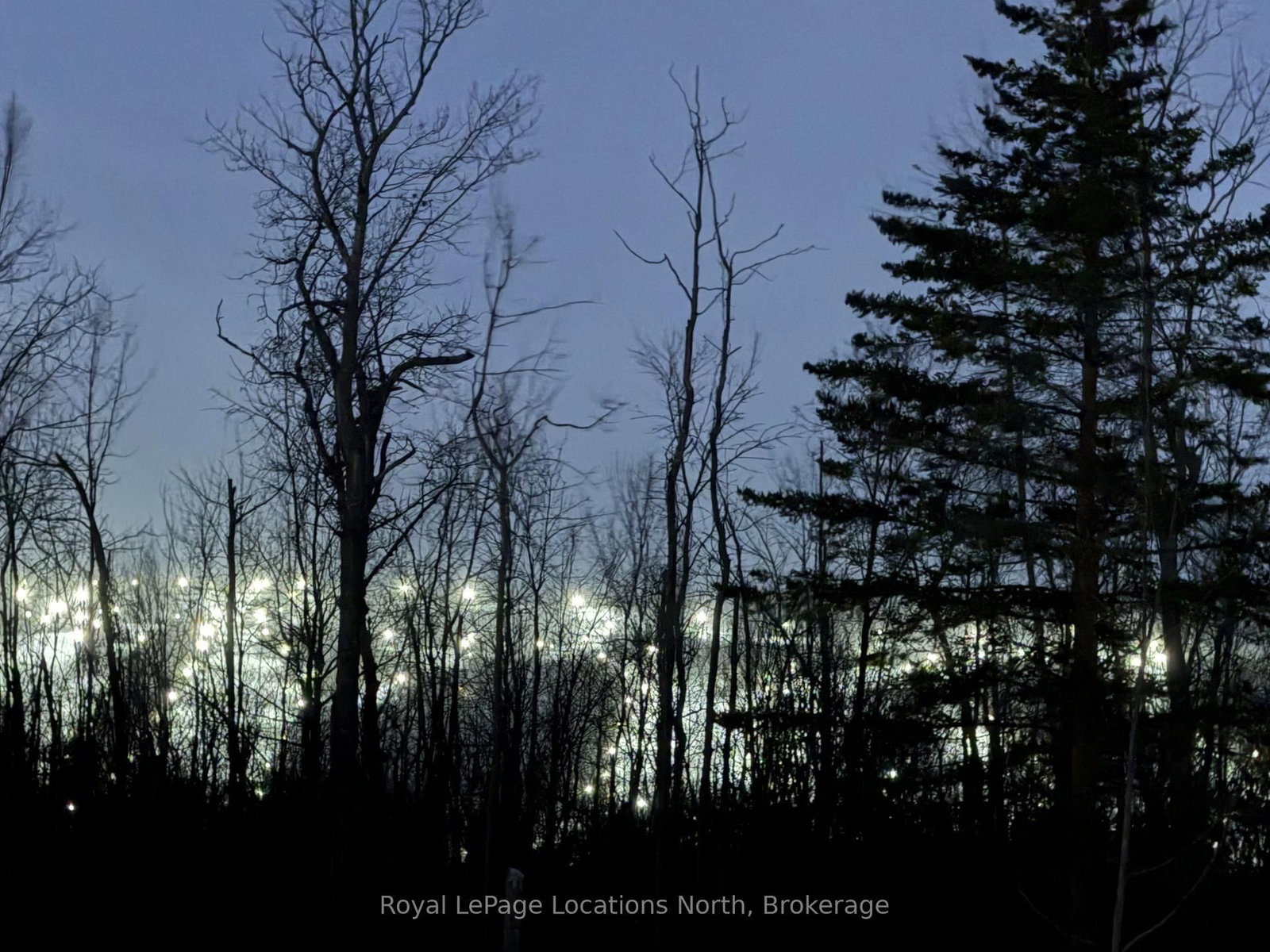 1-372 Grey Road 21 Road - Photo 12