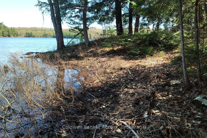 153 HIGHWAY 124, McDougall, P2A 2W7 | Image 3