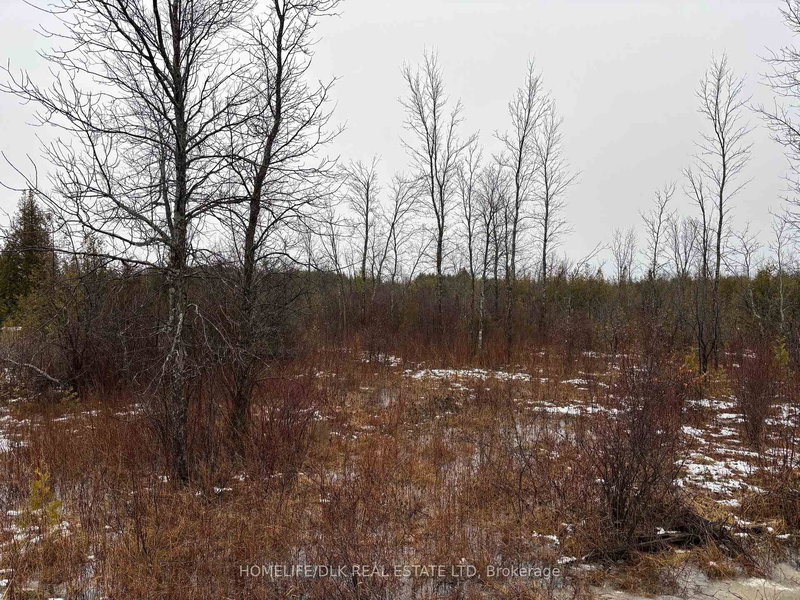 0 6th Concession Rd, Augusta, K6V 5T2 | Image 3