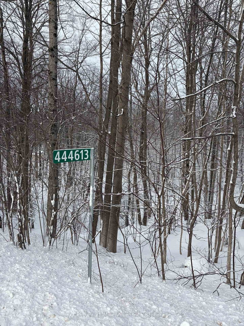 444613 CONCESSION 8