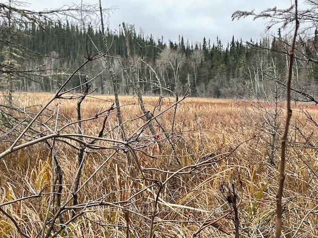 PCL 7576 0 N • Dryden, ON photo 4