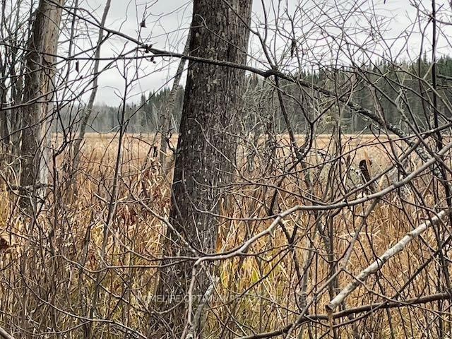 PCL 7576 0 N • Dryden, ON photo 5