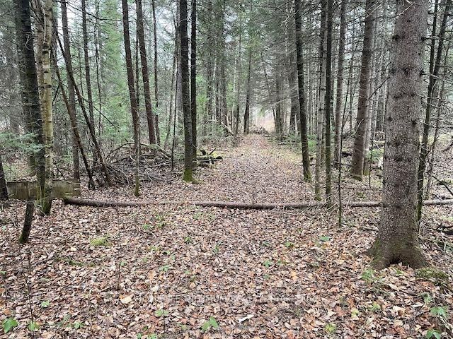PCL 7576 0 N • Dryden, ON photo 8