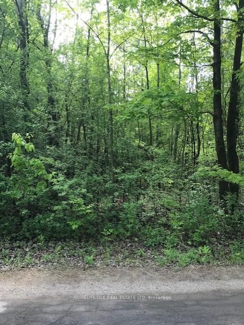 home for sale on 0 Graham Lake Road