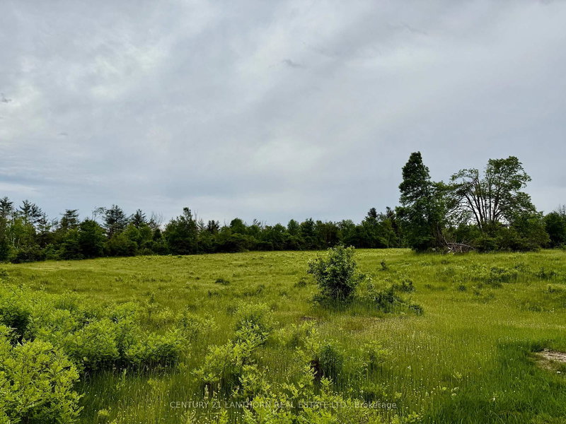 00 Cooper Rd, Madoc, K0K 2K0 | Image 2
