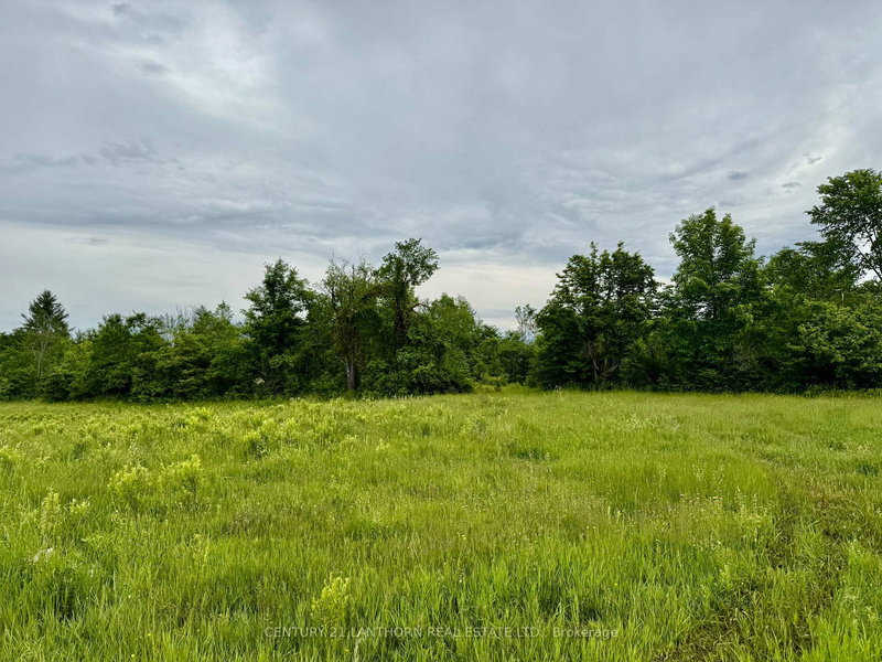 00 Cooper Rd, Madoc, K0K 2K0 | Image 3
