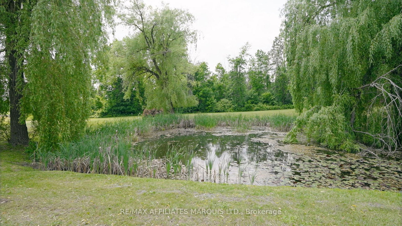Listing Image 49