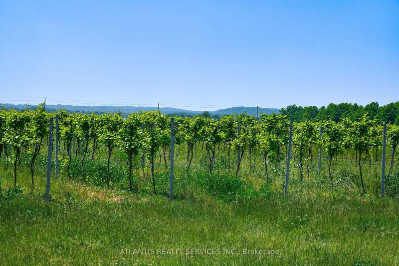 497 Line 5 Rd S, Niagara-on-the-Lake, L0S 1T0 | Image 2