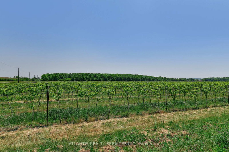 497 Line 5 Rd S, Niagara-on-the-Lake, L0S 1T0 | Image 3