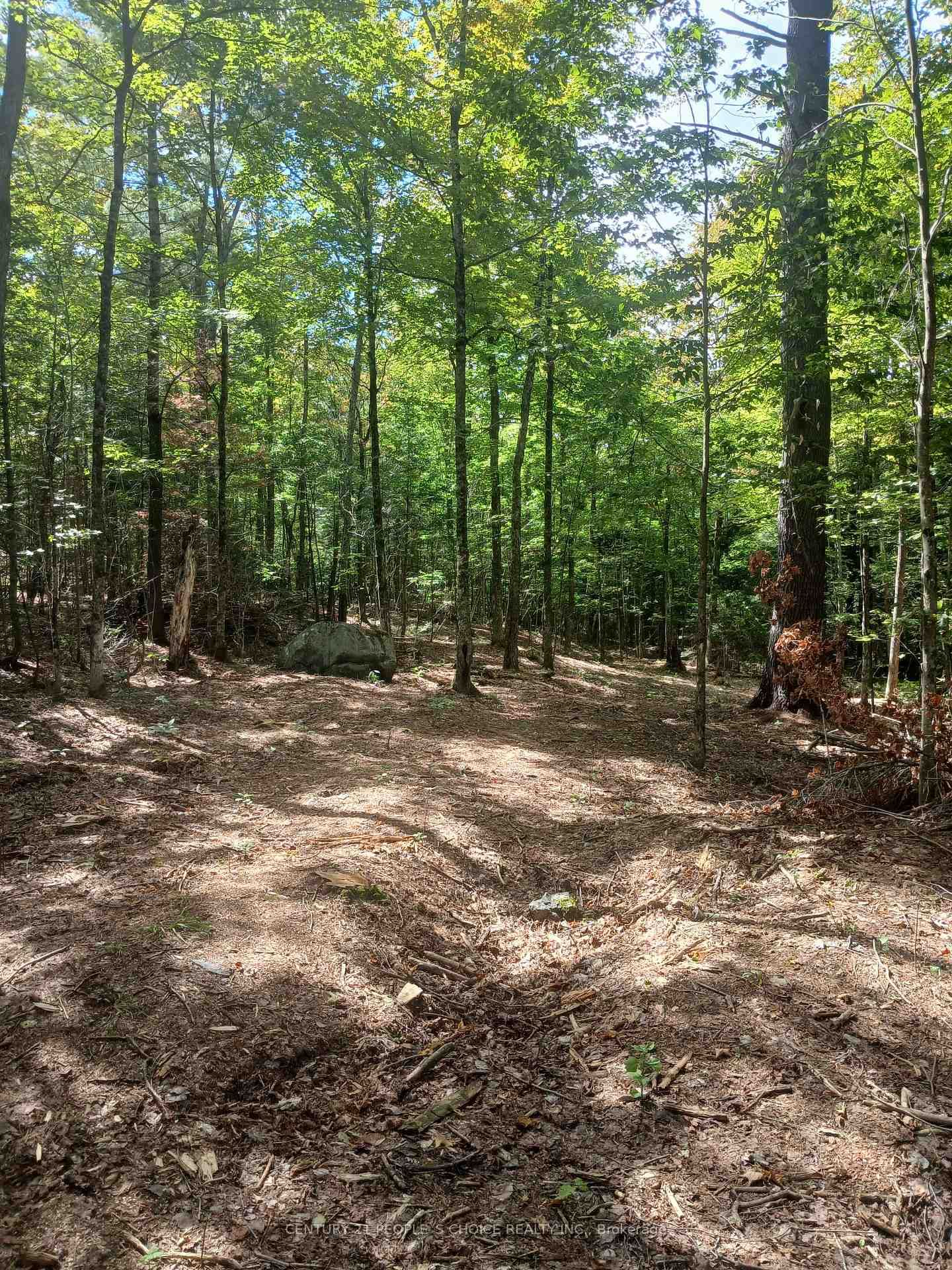 1055 Porkys Road • Minden Hills, ON photo 13