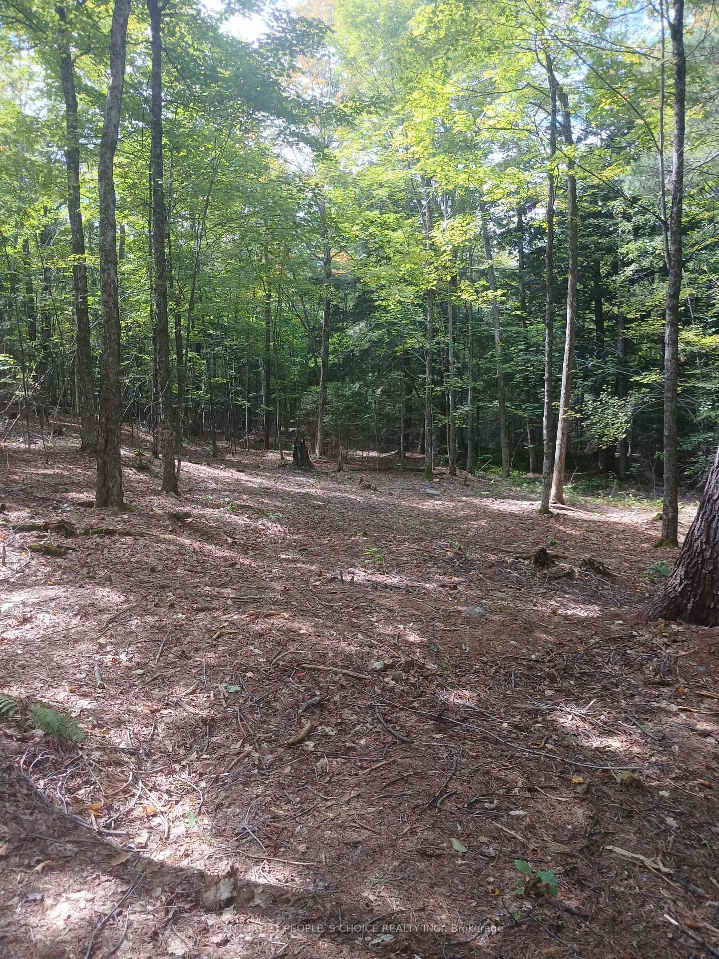 1055 Porkys Road • Minden Hills, ON photo 14