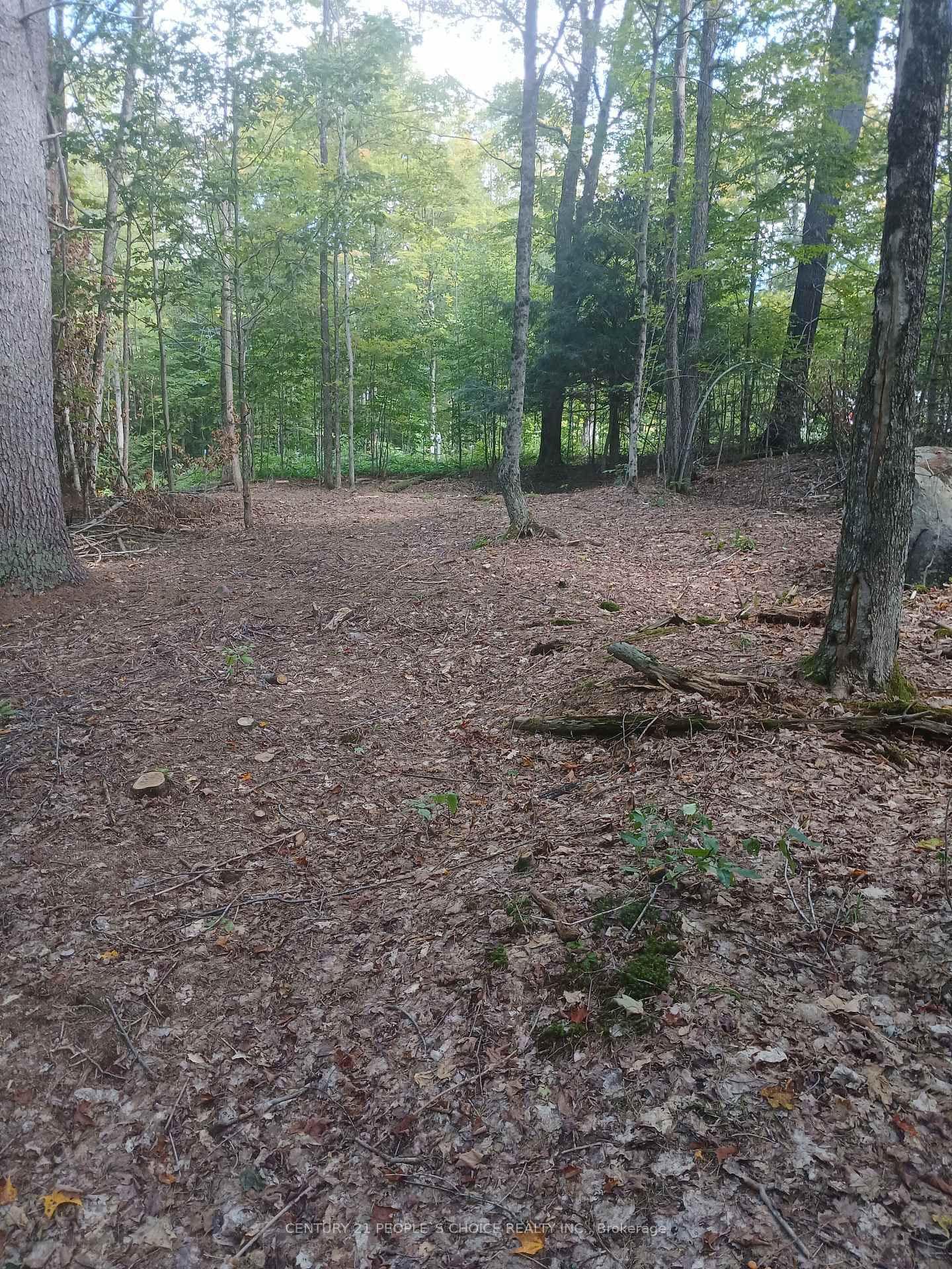 1055 Porkys Road • Minden Hills, ON photo 15