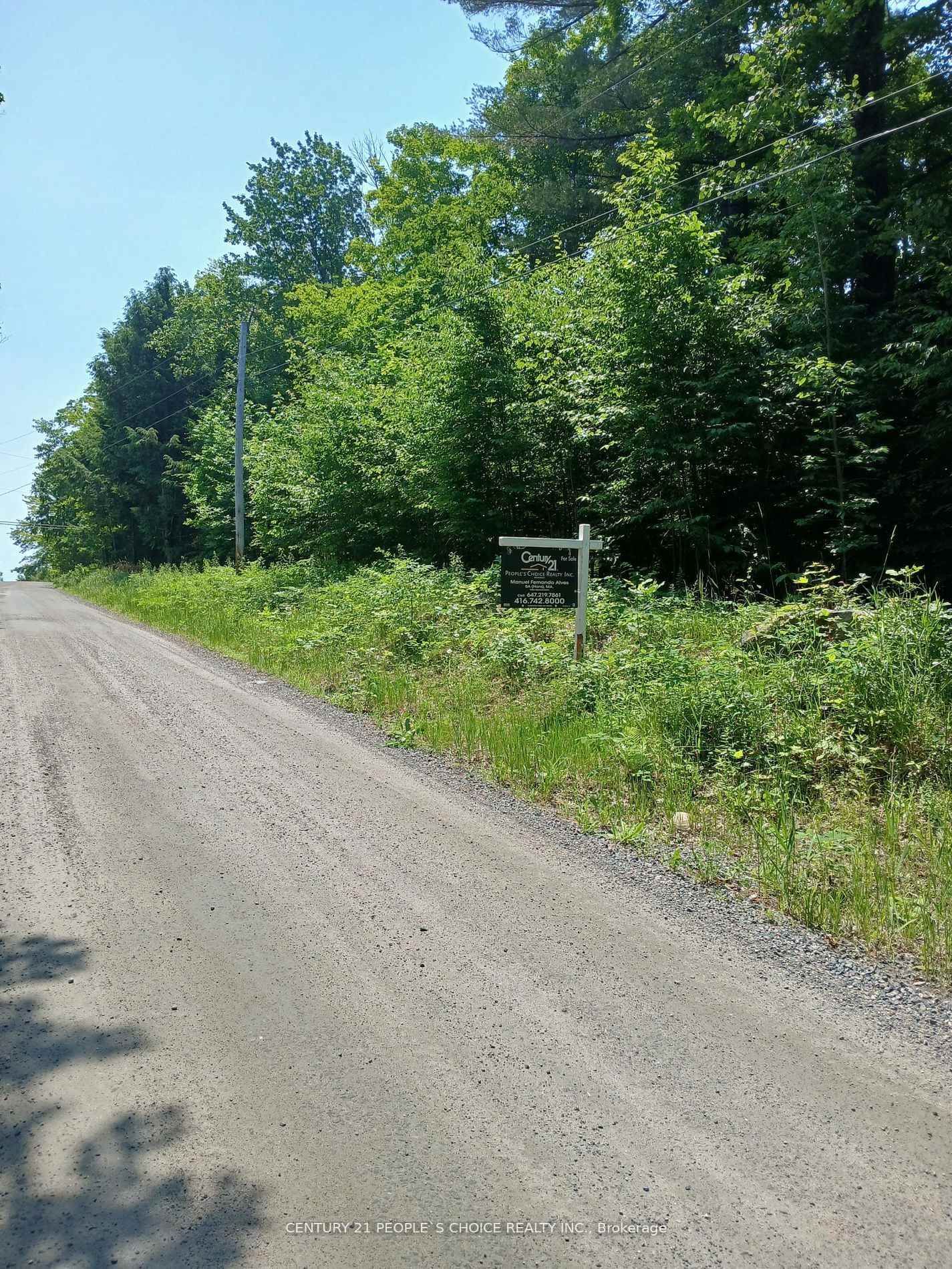 1055 Porkys Road • Minden Hills, ON photo 4