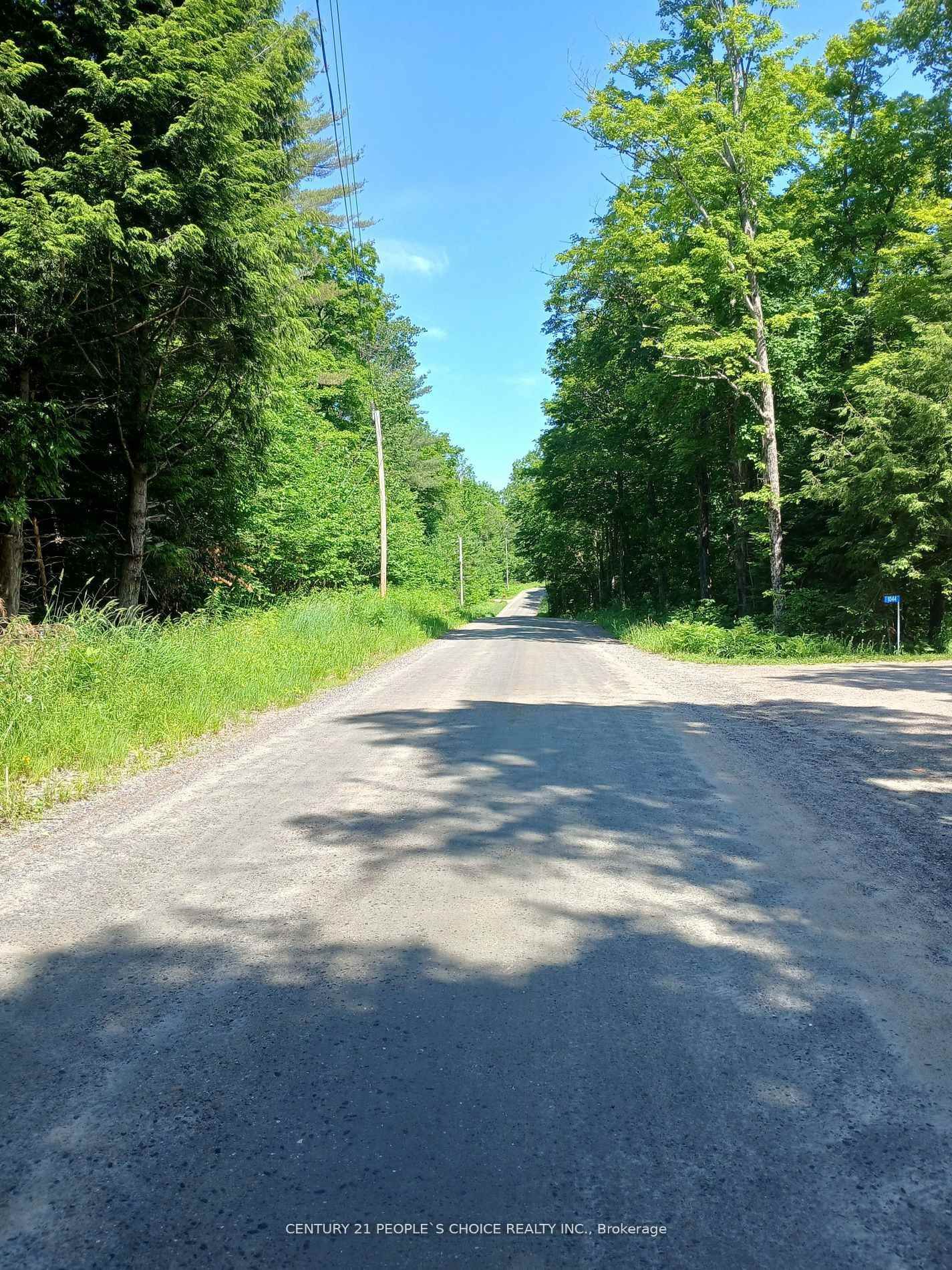 1055 Porkys Road • Minden Hills, ON photo 6
