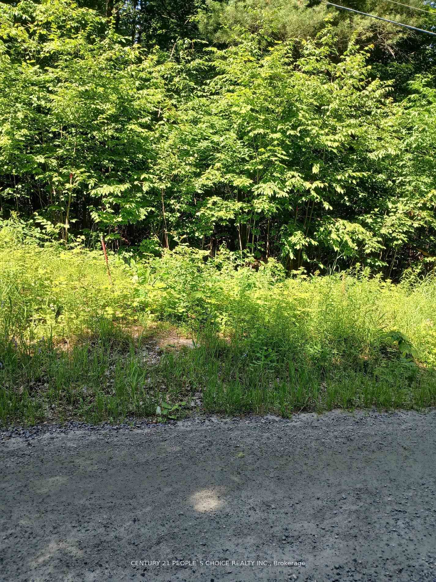 1055 Porkys Road • Minden Hills, ON photo 8