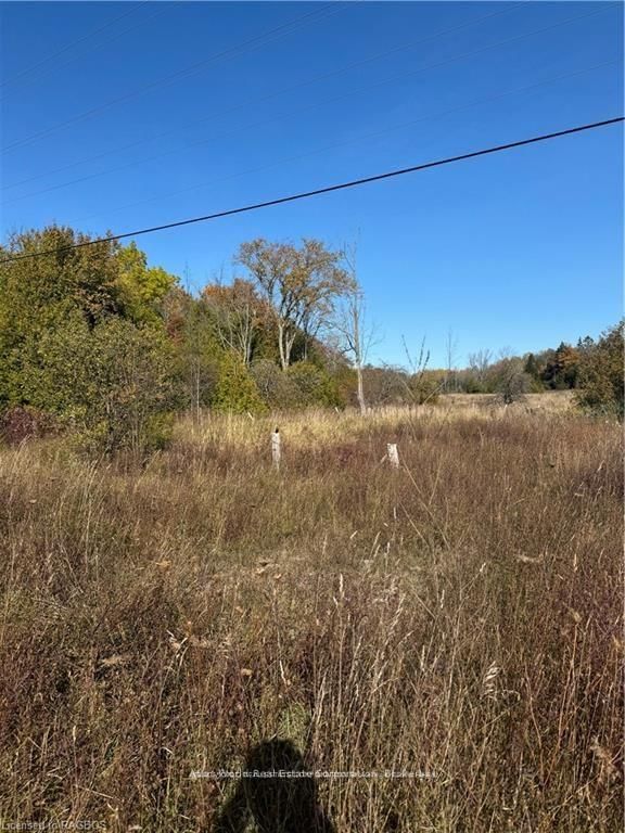 3288 HWY 6, Northern Bruce Peninsula, N0H 1W0 | Image 3