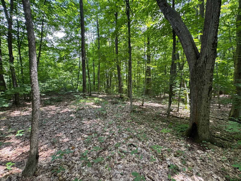 PT LT 112 CON A, Seguin, P2A 0B2 | Image 3