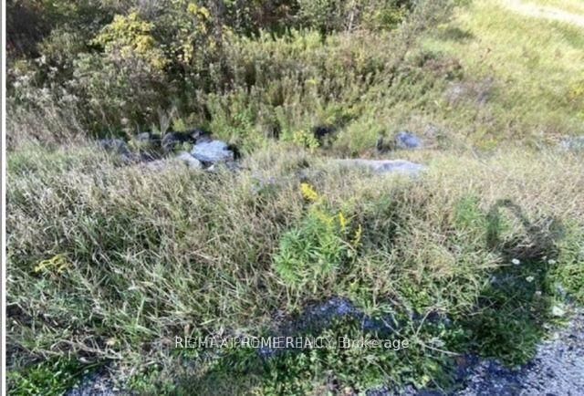 PT Con 5 Pt Lot 5 Rd, Madoc, K0K 2K0 | Image 3