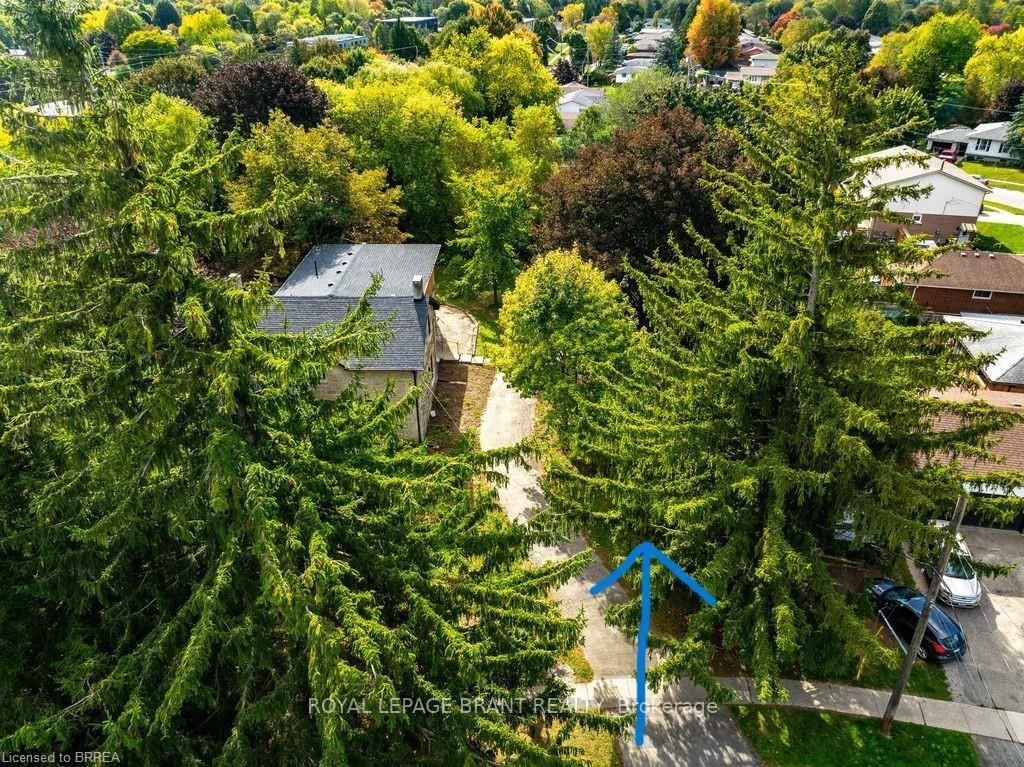 33 Islington Avenue - Photo 10