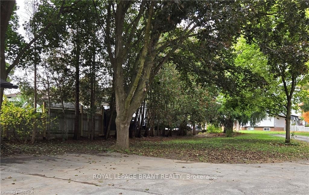 33 Islington Avenue - Photo 14