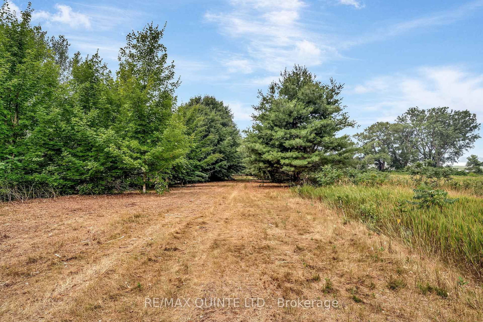 1462 County Road 12 • Prince Edward County, ON photo 36