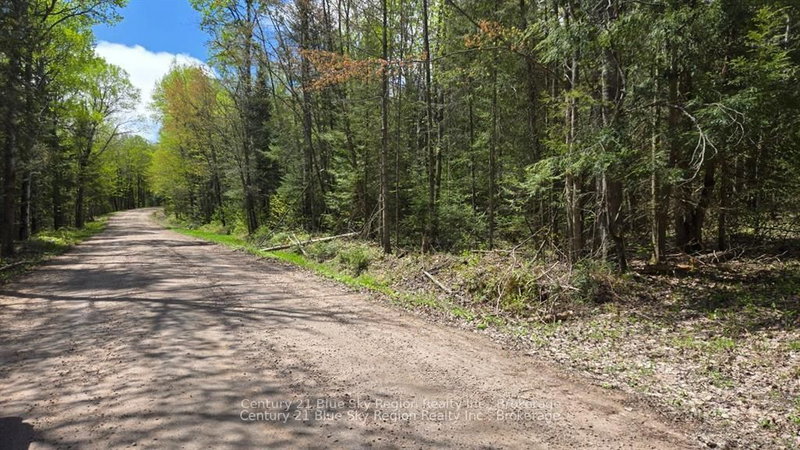 Pt Lt 10 Con 16 Village Rd, Chisholm, P0H 1Z0 | Image 3