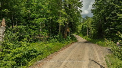 0000 Ril lake Road S • Lake of Bays, ON photo 2