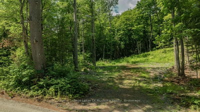 0000 Ril lake Road S • Lake of Bays, ON photo 3