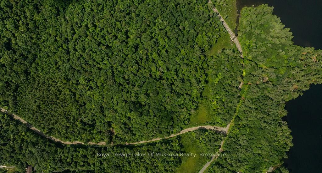 0000 Ril lake Road S • Lake of Bays, ON photo 4