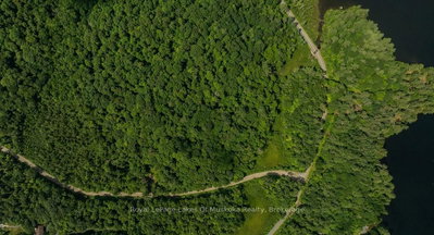 0000 Ril lake Road S • Lake of Bays, ON photo 4