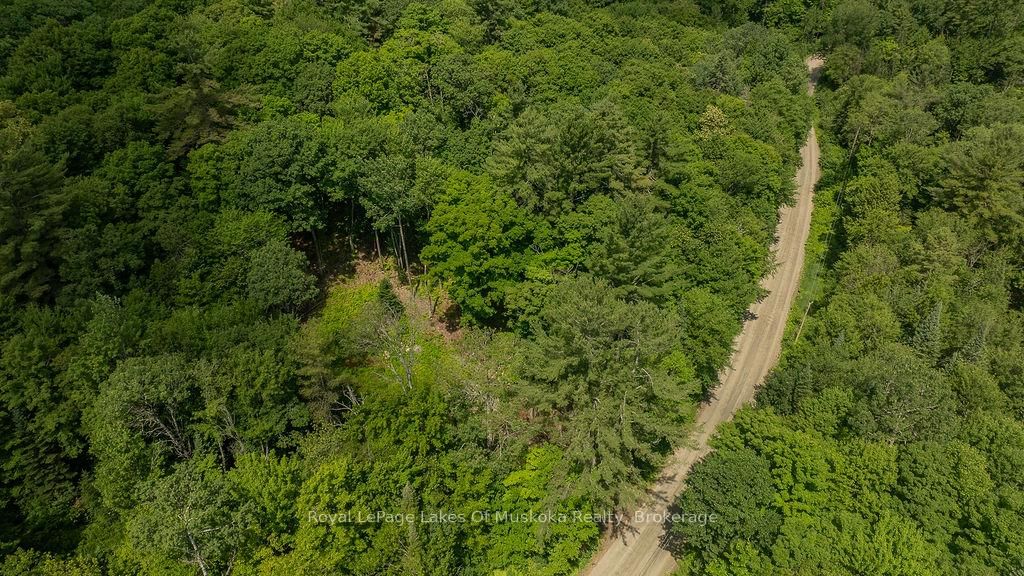 0000 Ril lake Road S • Lake of Bays, ON photo 5